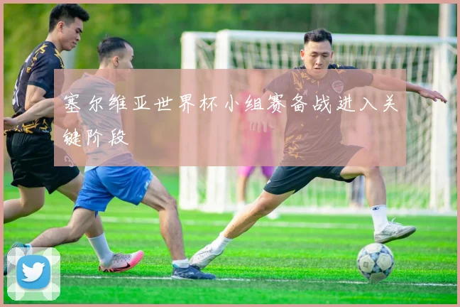 塞尔维亚世界杯小组赛备战进入关键阶段