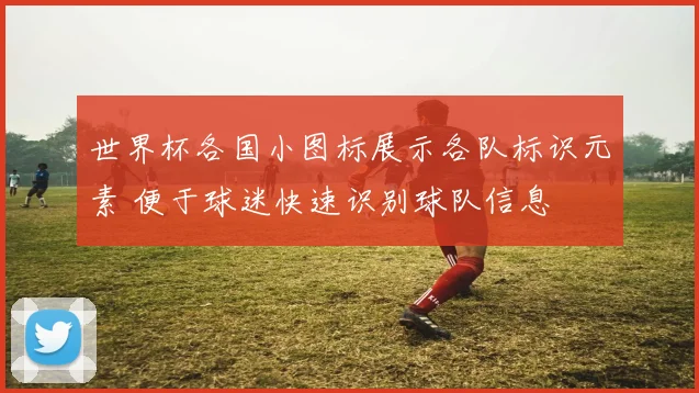 世界杯各国小图标展示各队标识元素 便于球迷快速识别球队信息