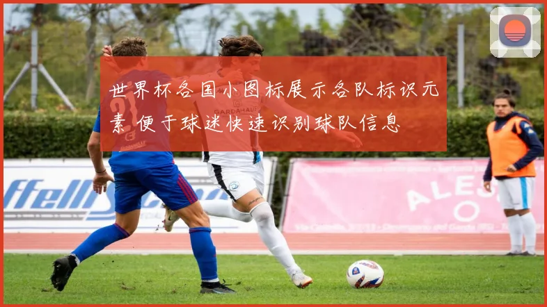 世界杯各国小图标展示各队标识元素 便于球迷快速识别球队信息